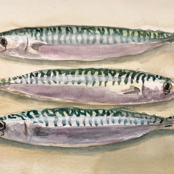 Three Mackerel