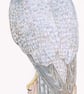 Peregrine Falcon - Keyring - Image 2