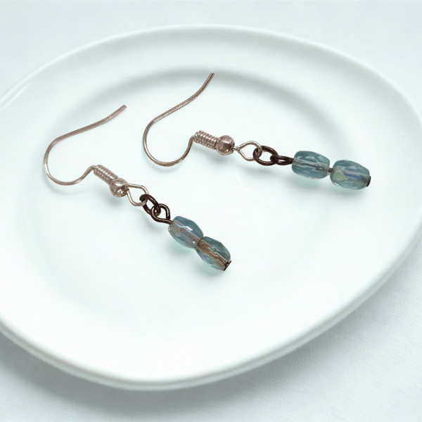 Icy Blue Earrings 