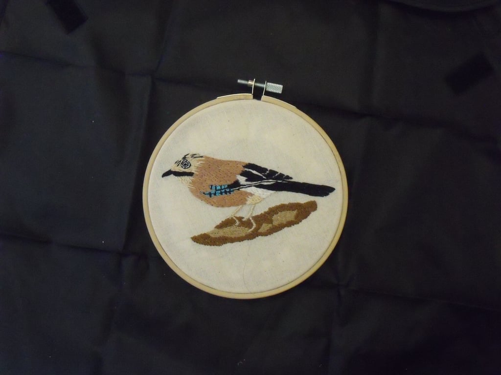 British Bird Jay  NEW REDUCED PRICE