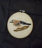 British Bird Jay  NEW REDUCED PRICE - Image 1