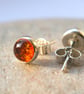Amber and Sterling Silver Stud Earrings  - Image 4
