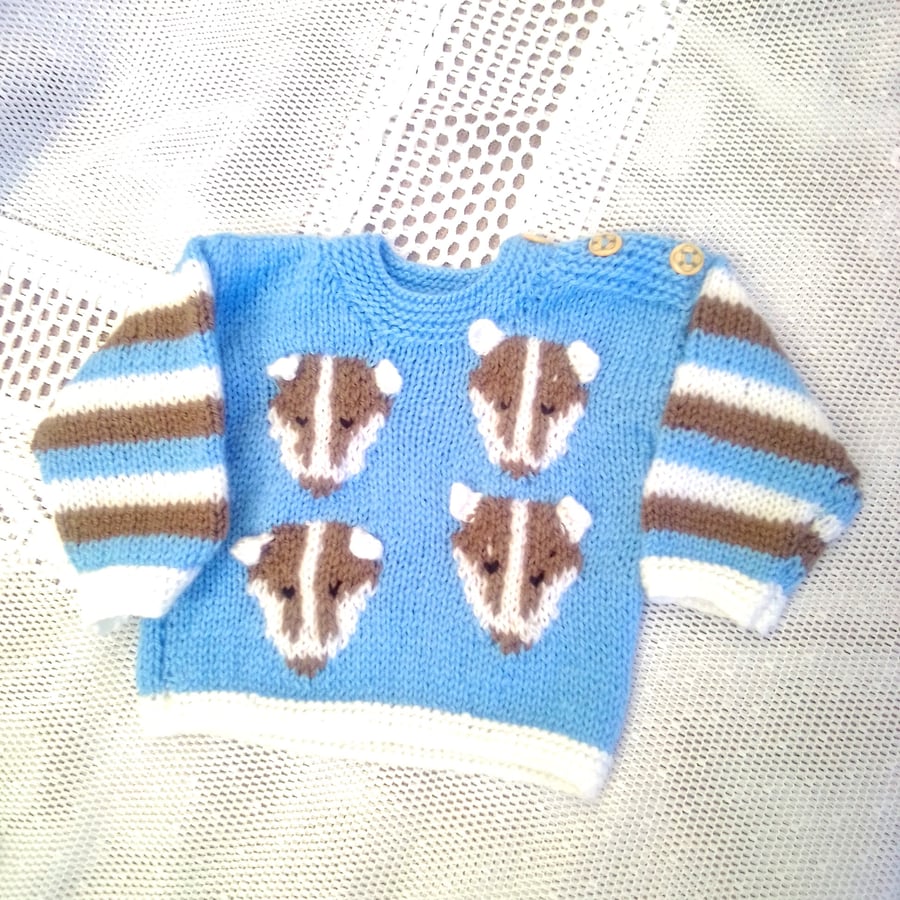 Round Neck Jumper with Badger Design for Babies and Toddlers, Novelty Jumper