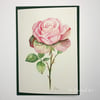 Rose Botanical Greeting Card – Pinks & Greens Collection and June Birth Flower