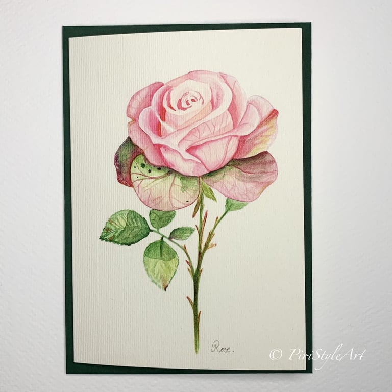 Rose Botanical Greeting Card – Pinks & Greens Collection and June Birth Flower