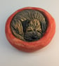 Border Terrier Yorkshire Pudding - 11
