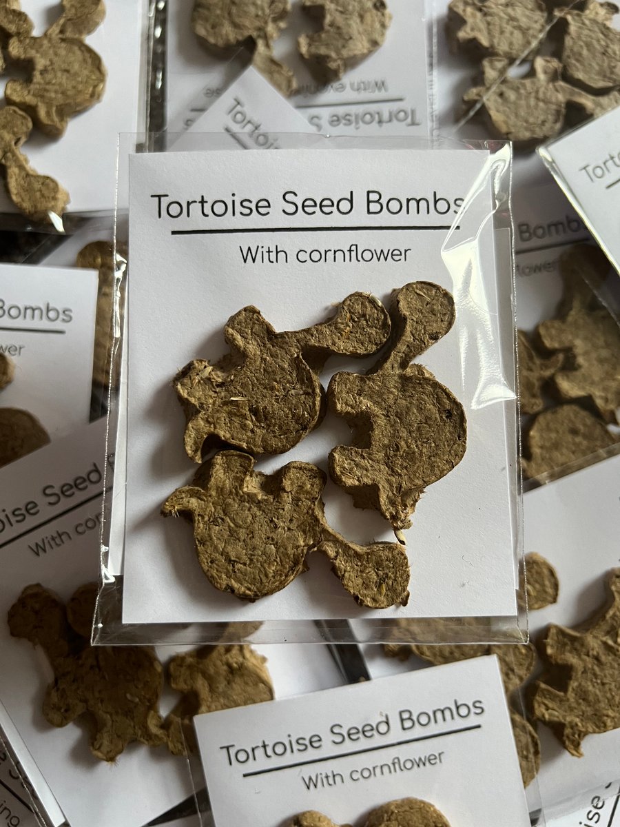 Tortoise shaped seeds, eco-friendly 
