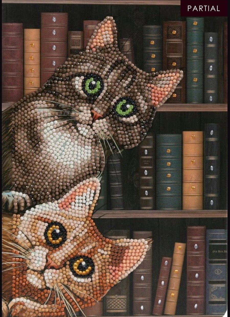Cat bookcase notebook diamond painting kit