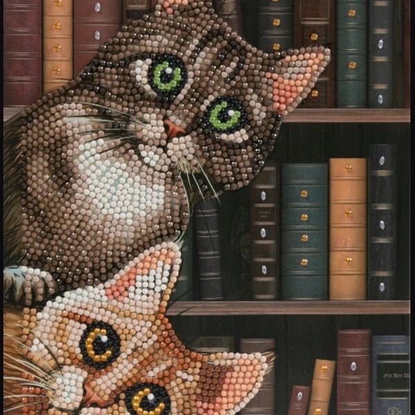 Cat bookcase notebook diamond painting kit