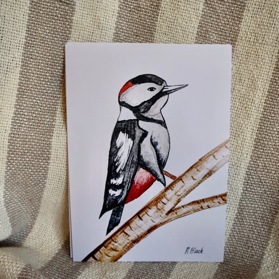 Woodpecker Paintings - Prints