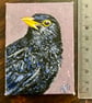 ACEO blackbird original miniature painting  - Image 4