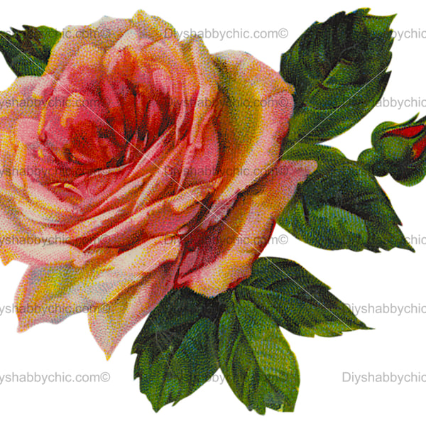 Waterslide Wood Furniture Decal Vintage Image Transfer DIY Shabby Chic Big Rose