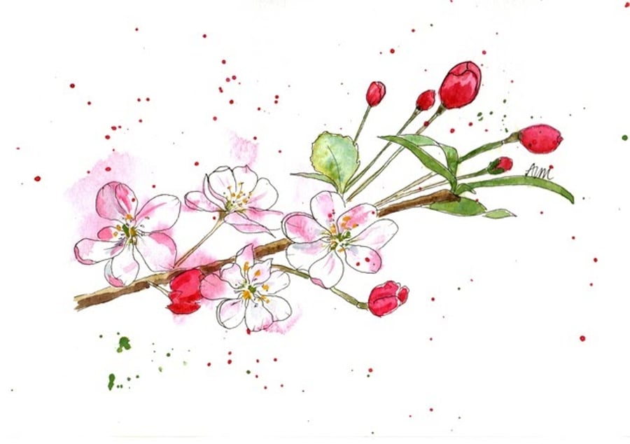 Pink apple blossom, framed original watercolour painting 