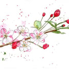 Pink apple blossom, framed original watercolour painting 