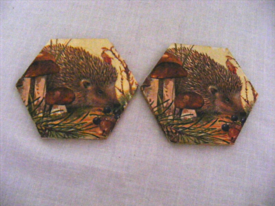 Set of 2 Hedgehog Coasters.