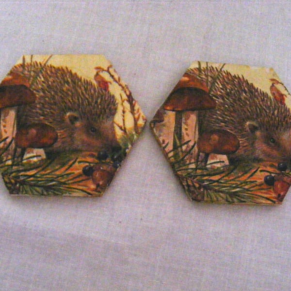 Set of 2 Hedgehog Coasters.