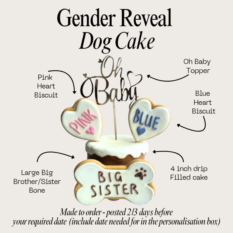 Gender Reveal Dog Cake treat box, Homemade iced cake and biscuits 