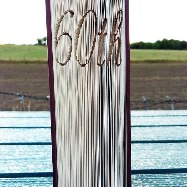 60th Cut & FOLD Book Folding Pattern - EMAILED PDF PATTERN