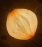 Paper table lamp - pod light - Image 6