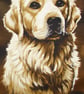 lovely Golden Retriever portrait cushion - Image 3