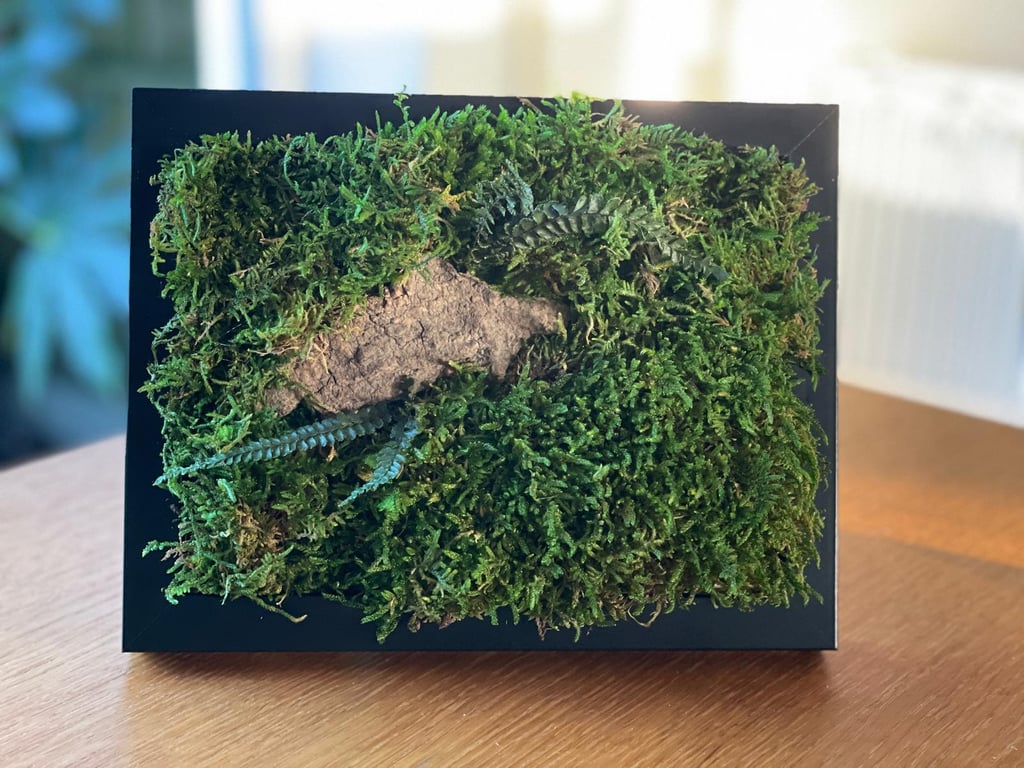 Framed Forest Vignette