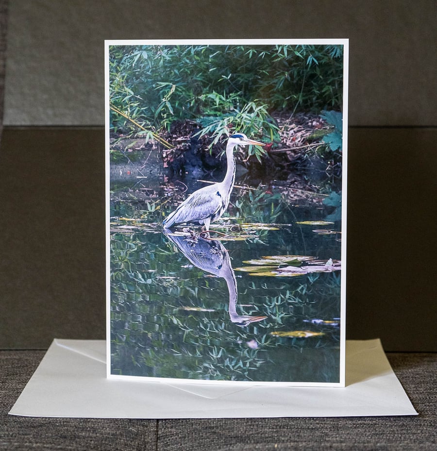 Grey Heron A5 Blank Greetings Card