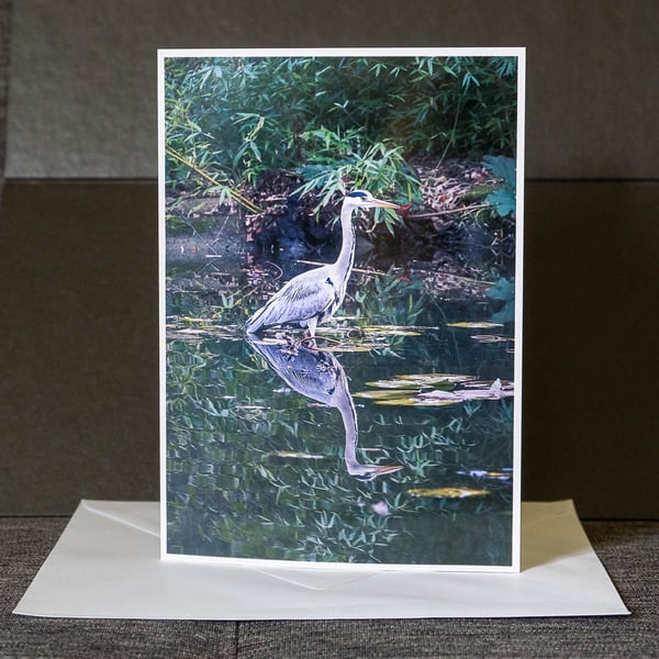 Grey Heron A5 Blank Greetings Card