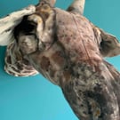 Giraffe wall Head