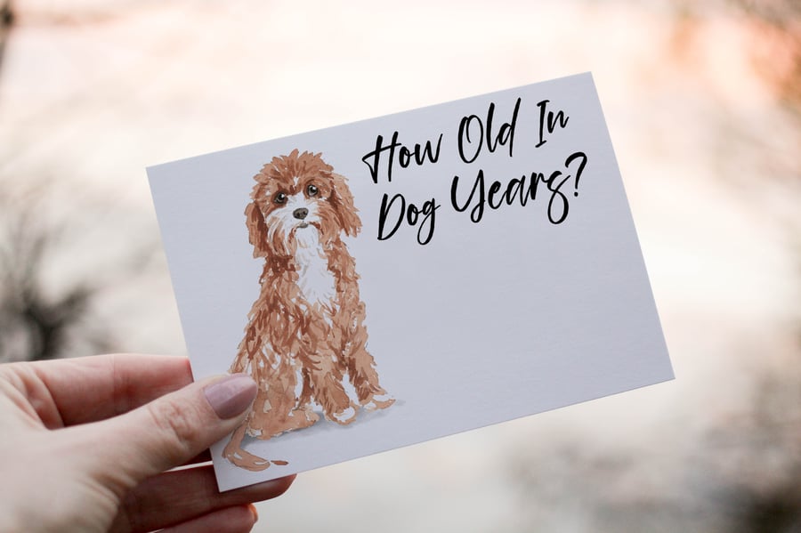 Cavapoo Dog Birthday Card, Dog Birthday Card, Personalized Dog Breed Card