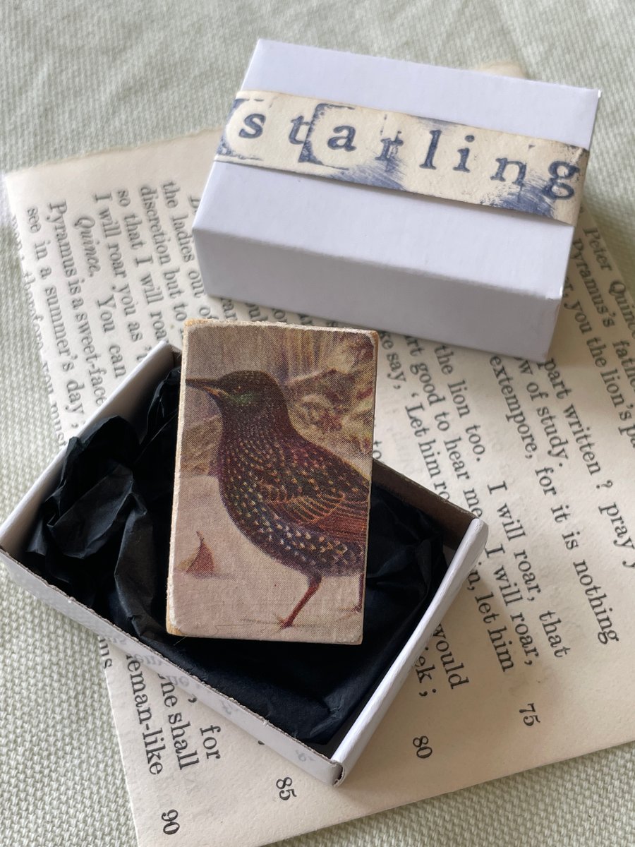 Starling - Wooden Bird Block Brooch