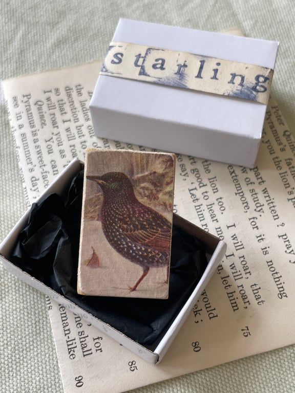 Starling - Wooden Bird Block Brooch