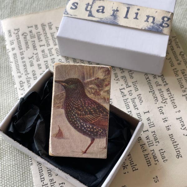 Starling - Wooden Bird Block Brooch