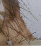  Mounted A4  or A3 signed Art Print, Hare - Image 3