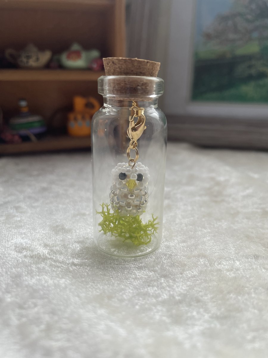 Little owl in the bottle 