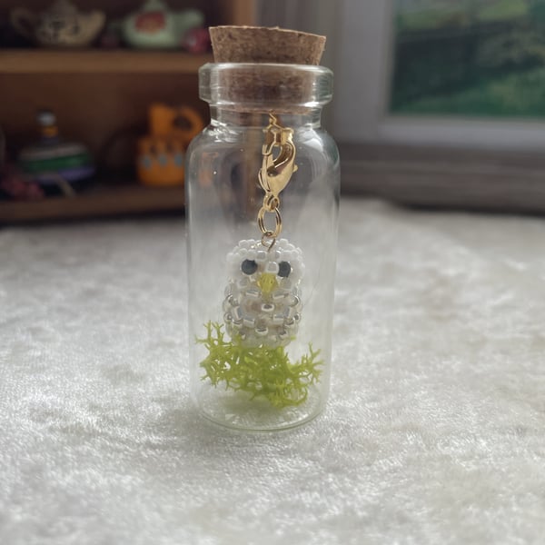 Little owl in the bottle 