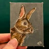 Wild rabbit original painting