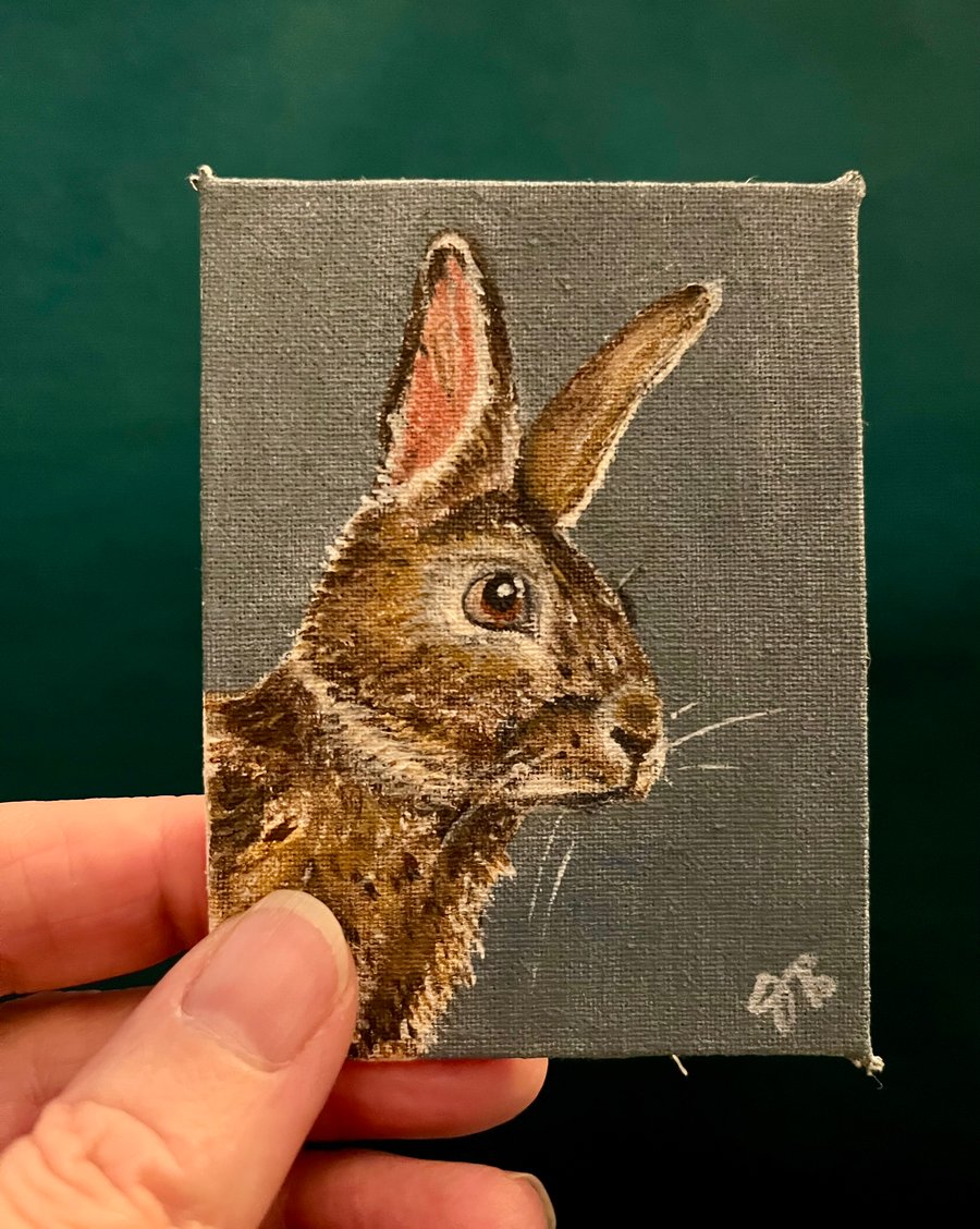 Wild rabbit original painting