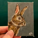 Wild rabbit original painting