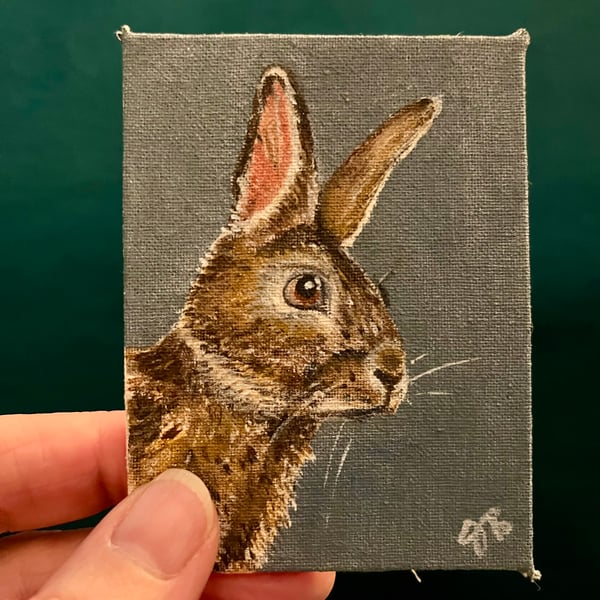 Wild rabbit original painting