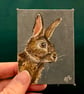 Wild rabbit original painting