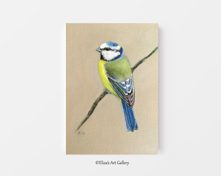 Original Blue Tit Bird Oil Painting