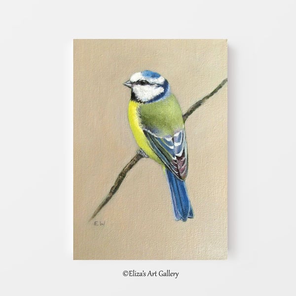 Original Blue Tit Bird Oil Painting