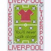 Liverpool Cross Stitch Kit Size 4" x 6"  Full Kit