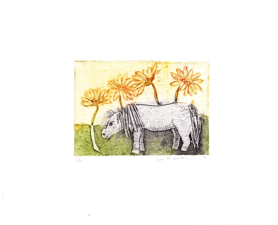 Little Grey Pony. amongst the Sunflowers  - `Original collagraph print