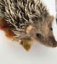 Hedgehog needle felted animal  - Image 7