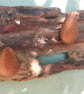 Blitz Timber 5 - Image 7