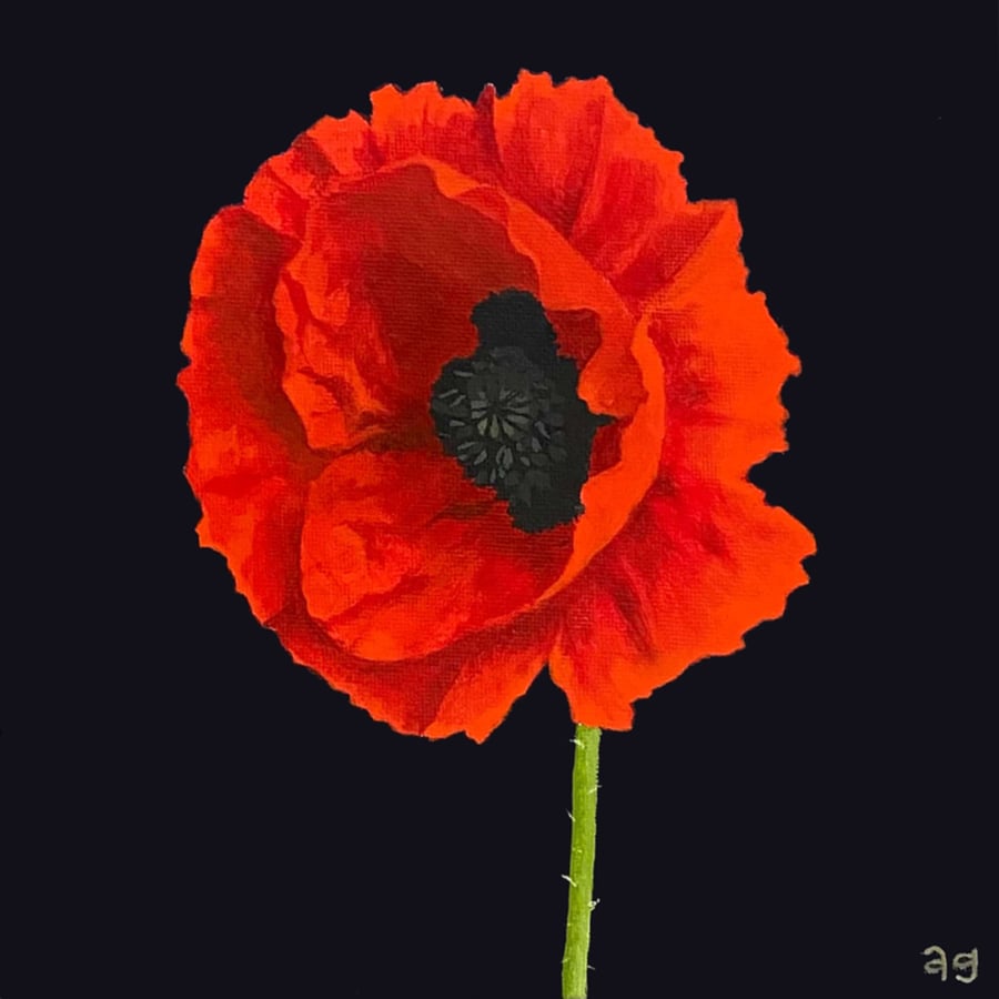 Fine Art Giclée Print Red Poppy
