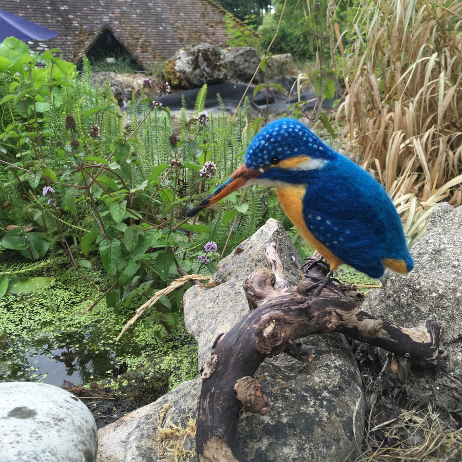 British birds, needle felted kingfisher