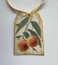 GIFT TAGS  ( set of 3 ) .Vintage -style  'Botanical Fruit . - Image 5