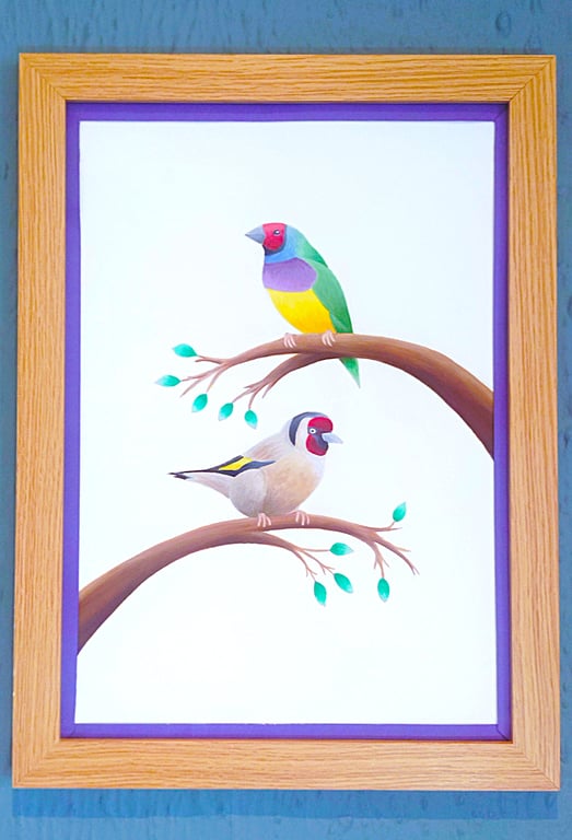 Handmade Framed A3 Print Colourful Gouldian GoldFinch Purple Border Wallart